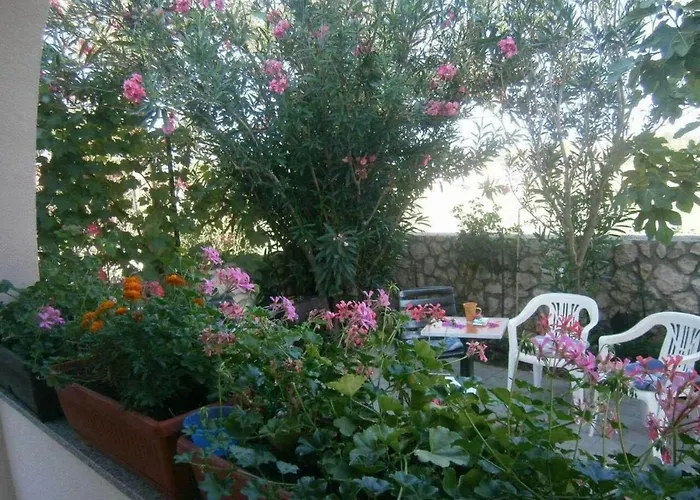 Apartment With Parking Space Privlaka, Zadar - 24002
